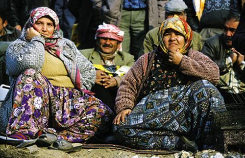 Кровавые разборки: мифы и ужасы собачьих боев…