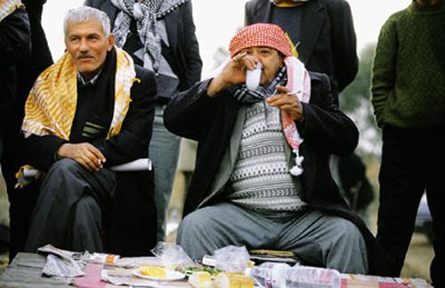 Кровавые разборки: мифы и ужасы собачьих боев…