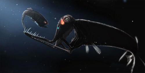 Что таит самая глубокая впадина мирового океана