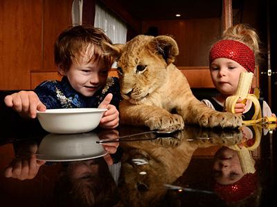 Топ-10 самых трогательных историй общения детей и животных