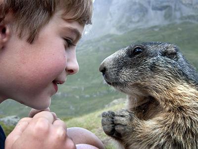 Топ-10 самых трогательных историй общения детей и животных