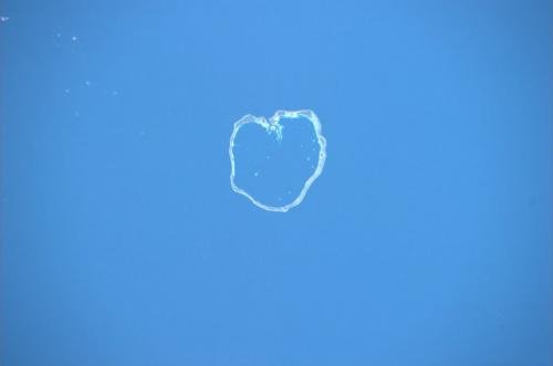 Земля в объективе астронавта Паоло Несполи