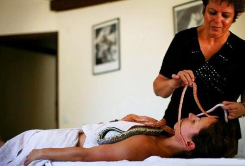 В Израиле практикуют змеиный массаж