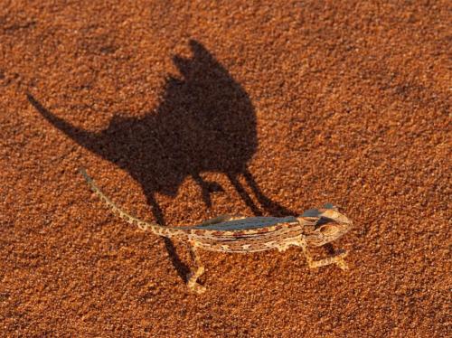 Лучшие фотографии мая от National Geographic