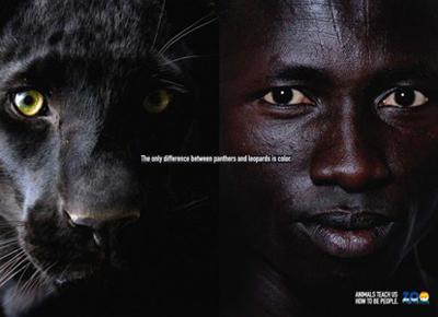 Лучшая реклама зоопарков планеты
