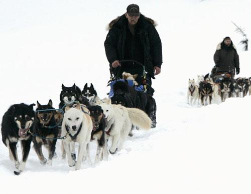 На Аляске пошёл отсчёт на выживание