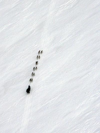 На Аляске пошёл отсчёт на выживание