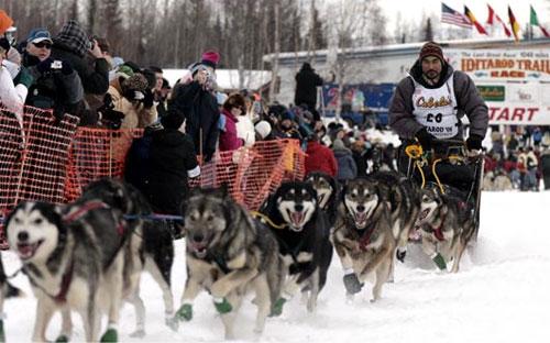 На Аляске пошёл отсчёт на выживание