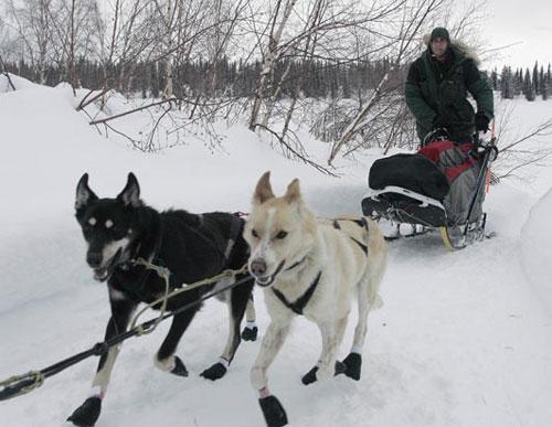 На Аляске пошёл отсчёт на выживание