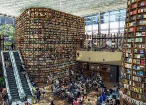 Необычные библиотеки мира