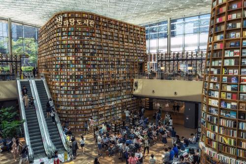 Необычные библиотеки мира