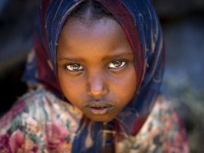 Мужчины похитили и избивали 12-летнюю девочку в Эфиопии, но на ее защиту встали львы