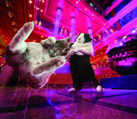 Календарь «Танцующие зайчики-2012»