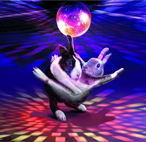 Календарь «Танцующие зайчики-2012»