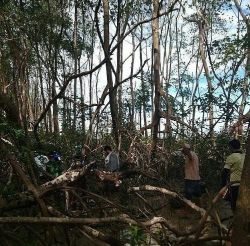 Природа подкинула загадку: 10-метровый кит обнаружен в амазонских джунглях