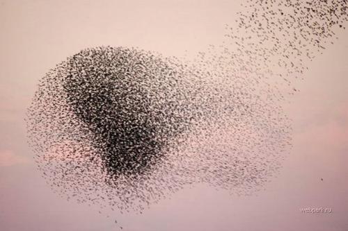 Семь самых странных природных феноменов