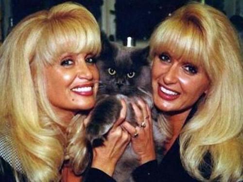 Самые знаменитые звезды-близнецы