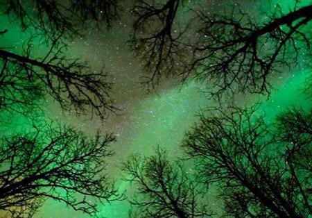 Лучшие астрономические фотографии года