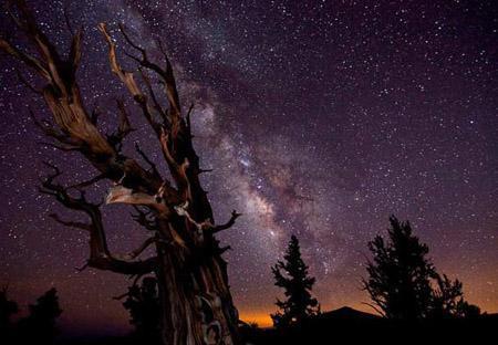 Лучшие астрономические фотографии года