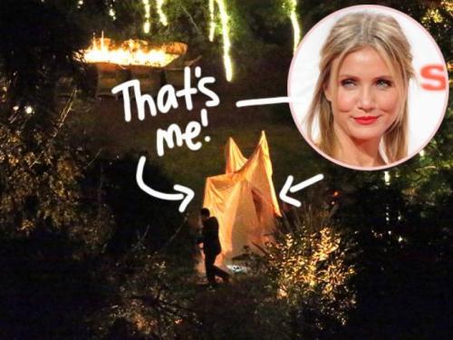 Секретные свадьбы звезд, которые удалось заснять папарацци