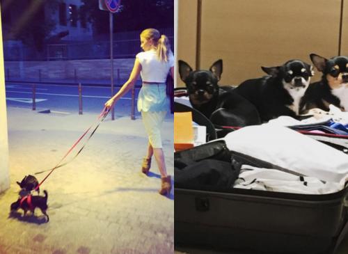 Как живут самые гламурные жены российских олигархов