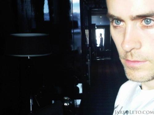 Мир глазами Джареда Лето