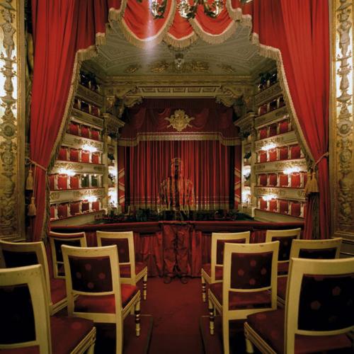 Человек-невидимка родом из Китая