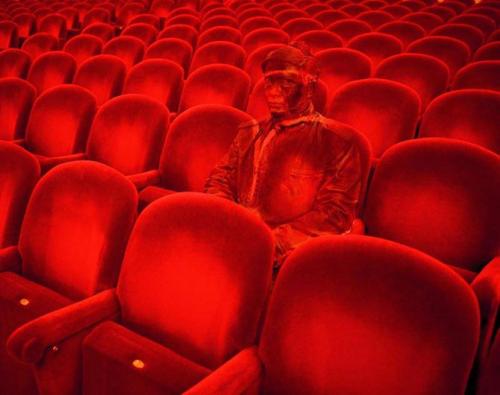 Человек-невидимка родом из Китая