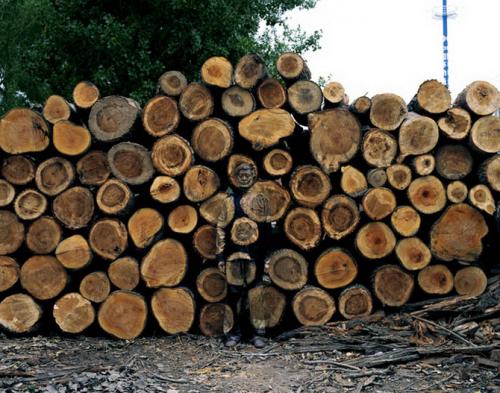 Человек-невидимка родом из Китая