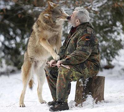 79-летний немец разочаровался в людях и стал вожаком волчьей стаи