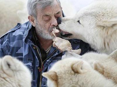 79-летний немец разочаровался в людях и стал вожаком волчьей стаи