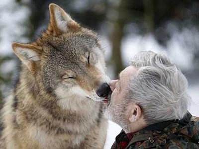 79-летний немец разочаровался в людях и стал вожаком волчьей стаи