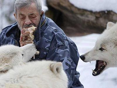 79-летний немец разочаровался в людях и стал вожаком волчьей стаи