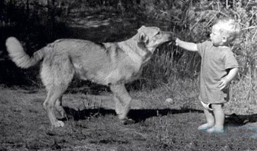 Российские звезды сами выкладывают детские фото в сеть