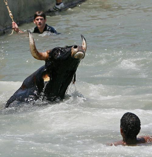 Памплона побежала от быков