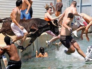 Памплона побежала от быков