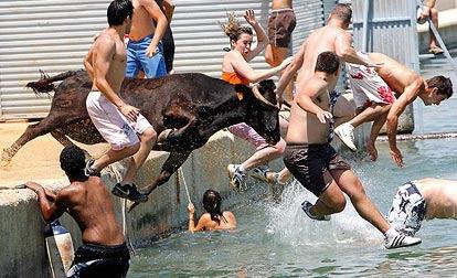 Памплона побежала от быков