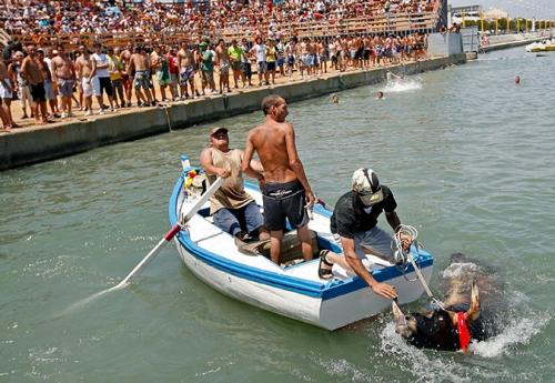 Памплона побежала от быков