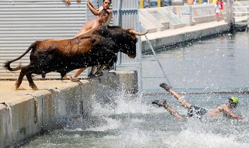 Памплона побежала от быков