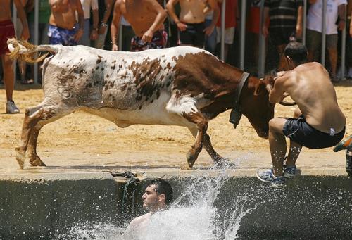 Памплона побежала от быков