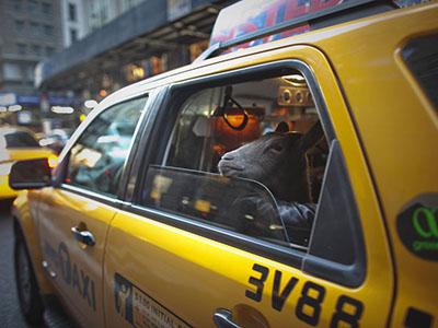 Снимки, которые облетели весь мир и стали хитами в 2012 году