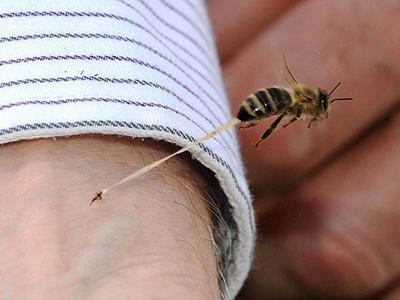 Снимки, которые облетели весь мир и стали хитами в 2012 году