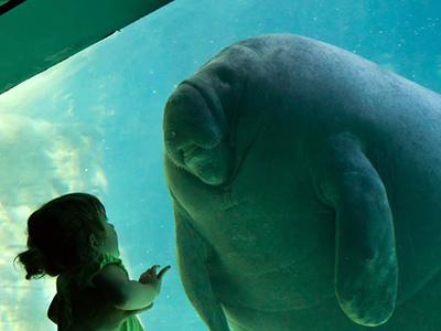 Снимки, которые облетели весь мир и стали хитами в 2012 году