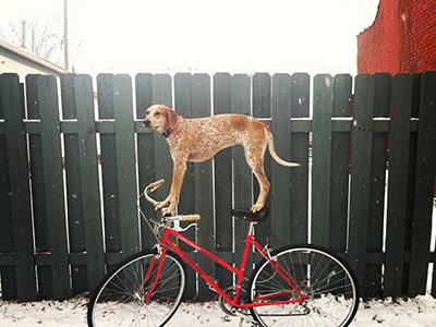 Снимки, которые облетели весь мир и стали хитами в 2012 году