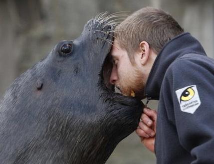 Снимки, которые облетели весь мир и стали хитами в 2012 году