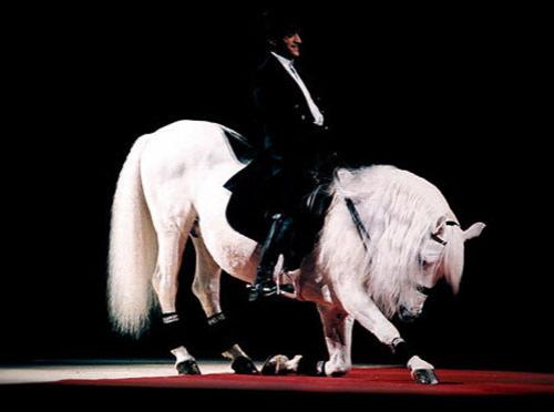 Мечты коллекционеров: самые редкие в мире вещи