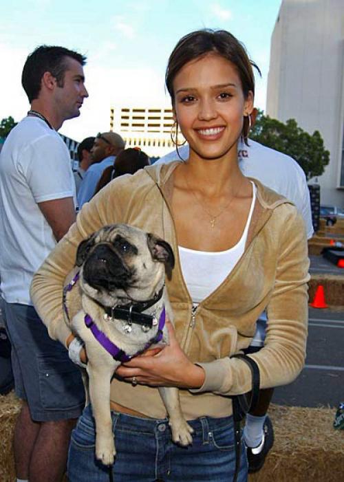 Звездные питомцы, которые живут роскошнее, чем многие из нас