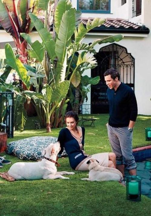 Звездные питомцы, которые живут роскошнее, чем многие из нас