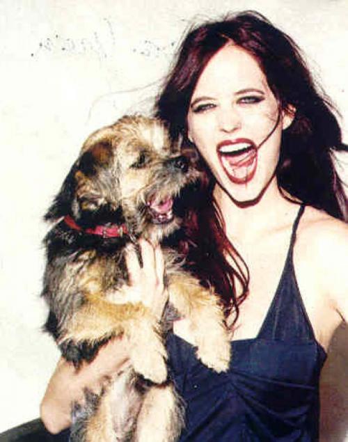 Звездные питомцы, которые живут роскошнее, чем многие из нас