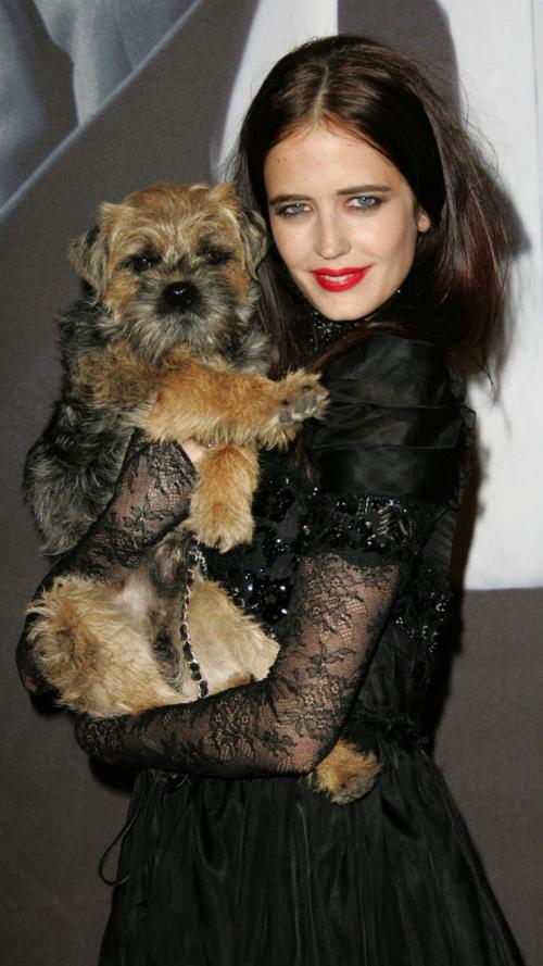 Звездные питомцы, которые живут роскошнее, чем многие из нас